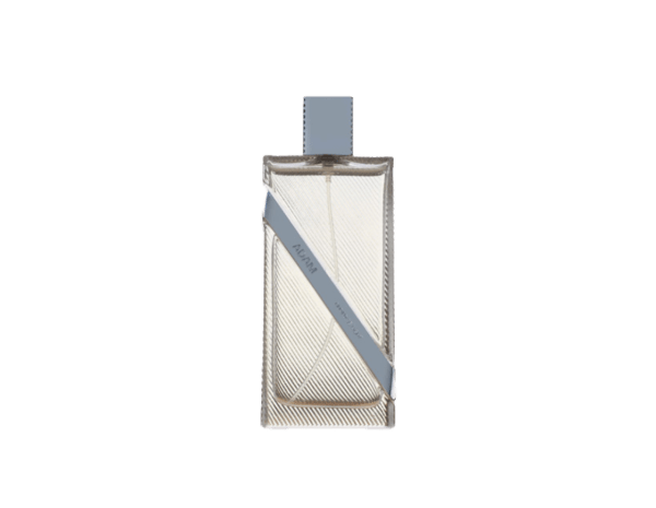 ادکلن مردانه پارادایس لایت مدل Adam 100ml